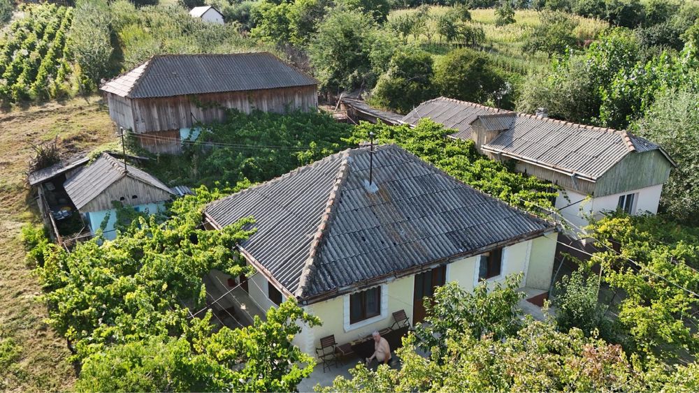 Proprietate de vanzare