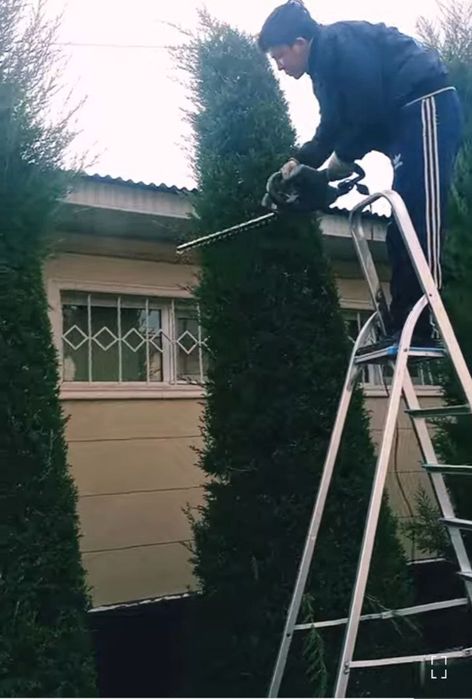 Landshaft,gazon qirqish, archa va daraxtlarni butalash  va dorilash