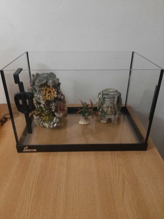 Acvariu pesti pret negociabil