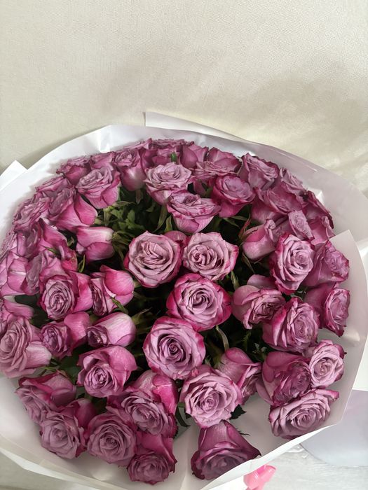 Розовые розы , 61шт