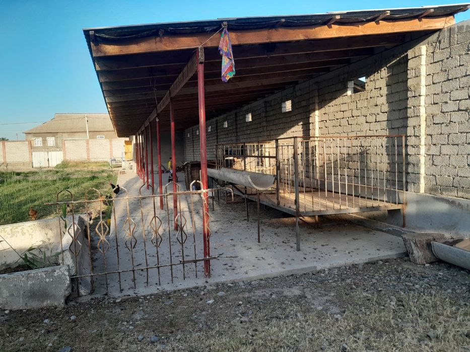 20 sotix xovli + ferma