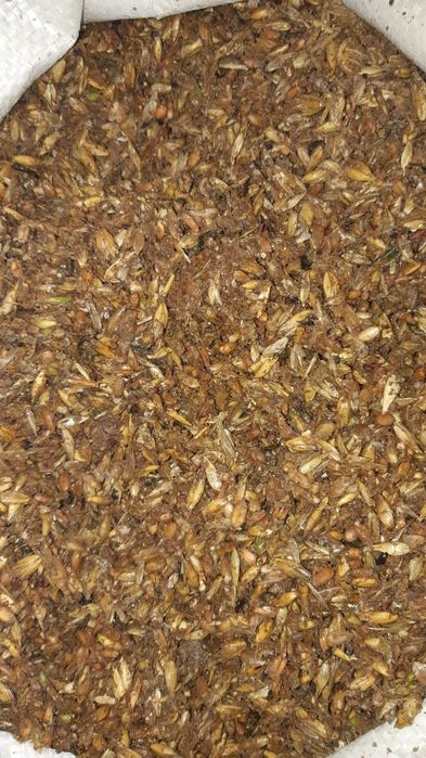 Продам зерноотходы после мойки.также полова, отруби,зерноотходы