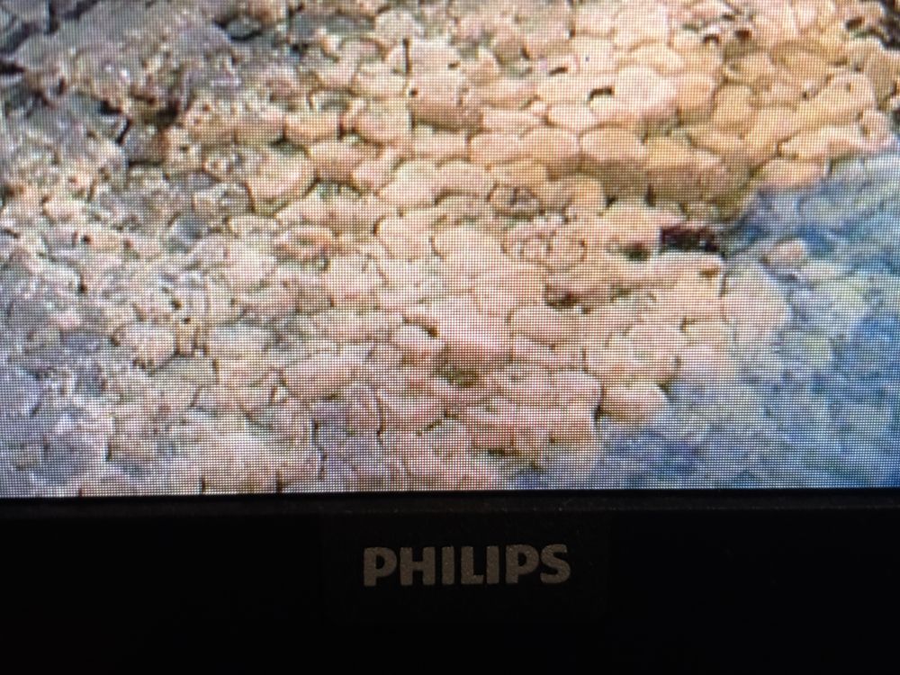 24” 75Hz Philips Монитор с Гаранция