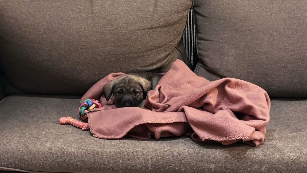 Подарява се бебе момиче