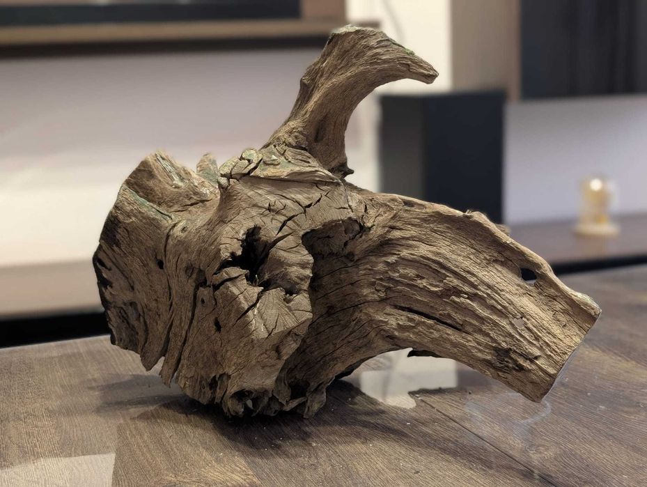 Vand lemn natural decor acvariu