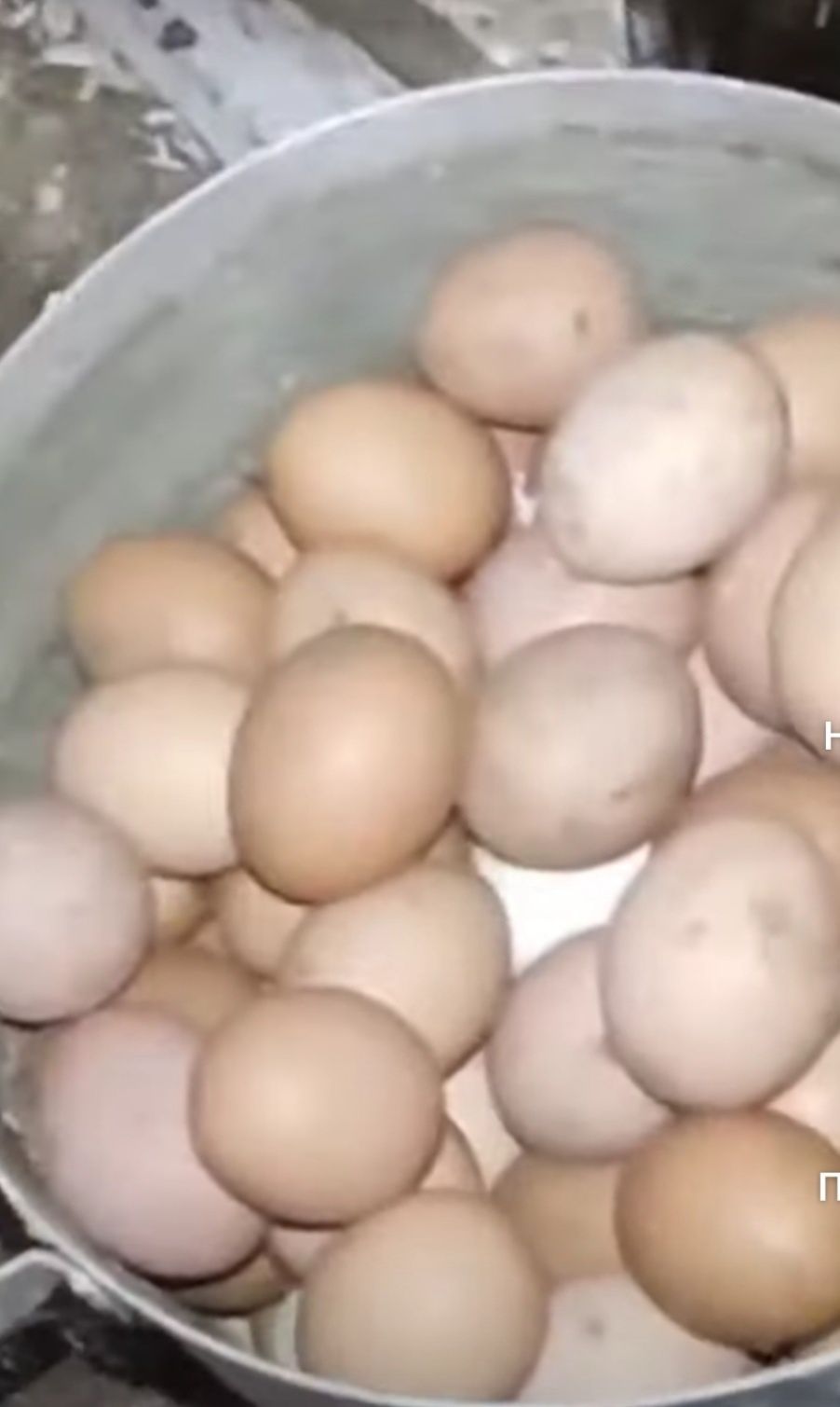 Яйца куриные домашние