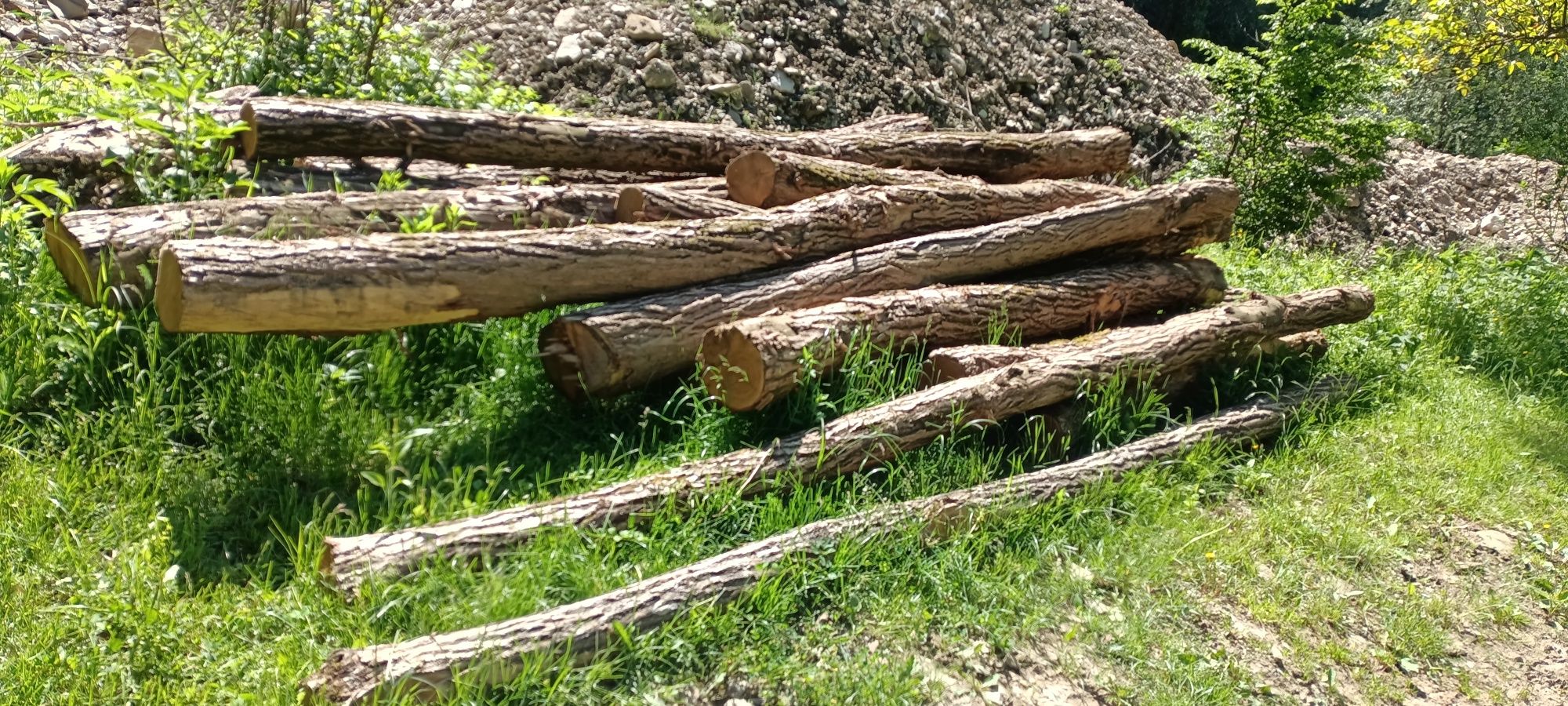 Salcâm de lucru stâlpi, grinzi, 4/6 m groși !!