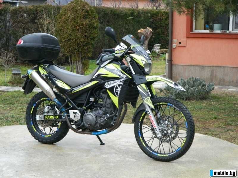 Yamaha xt 660r   Leo Vince