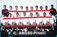 Vand poza echipa FC ARGES