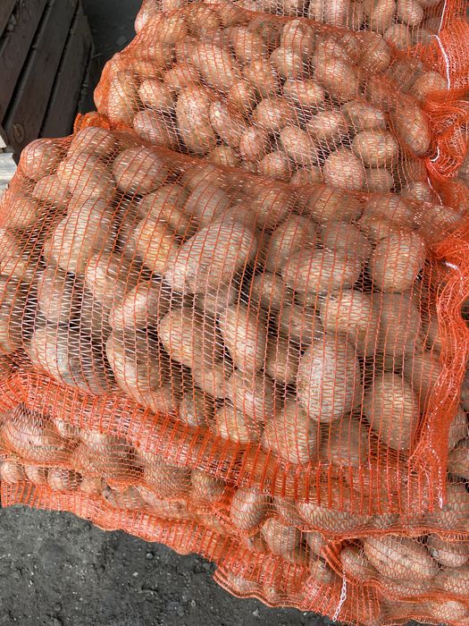 Cartofi consum proaspat