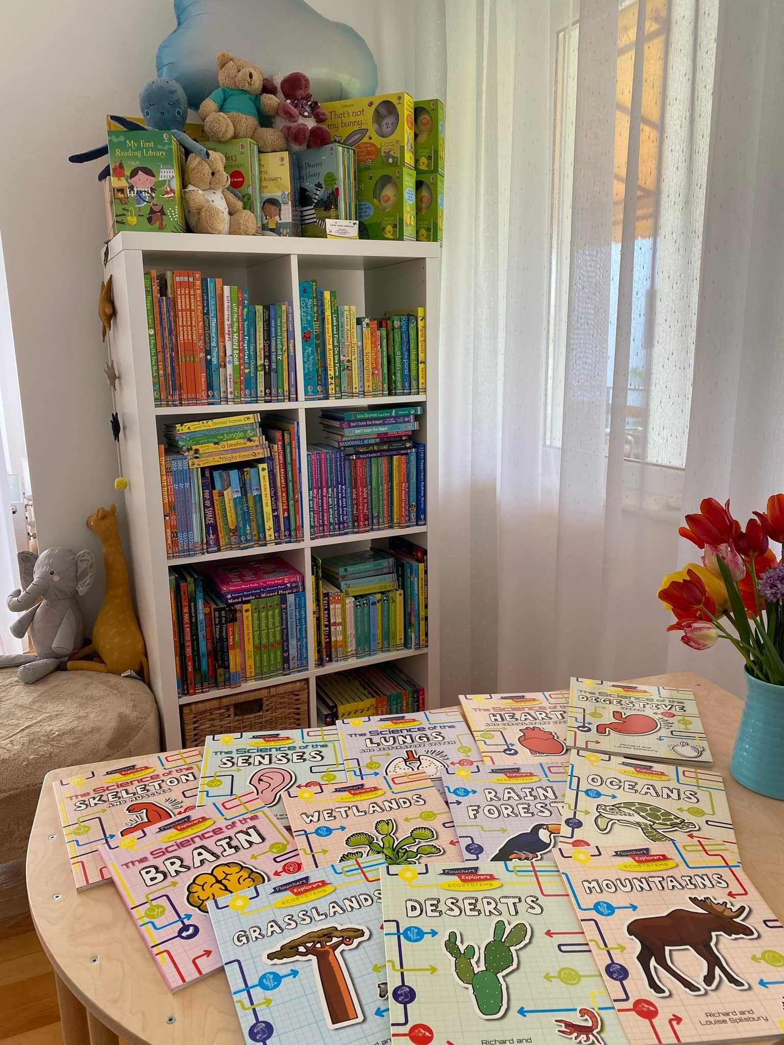 Cărți în engleză/română din biblioteca personală - NOI și preloved