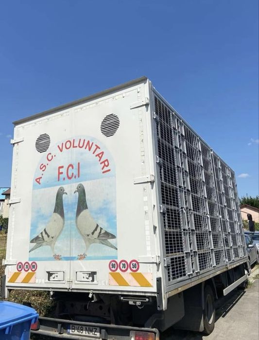 Autospeciala transport porumbei