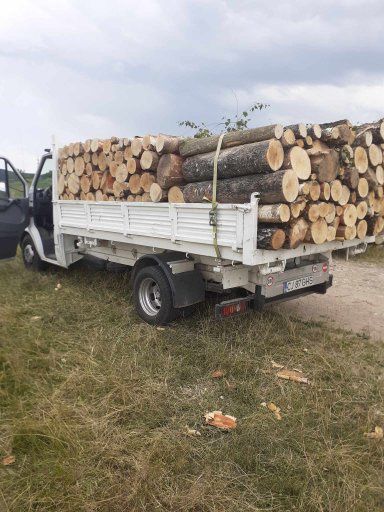 Lemne de foc la 320 lei metru esență tare