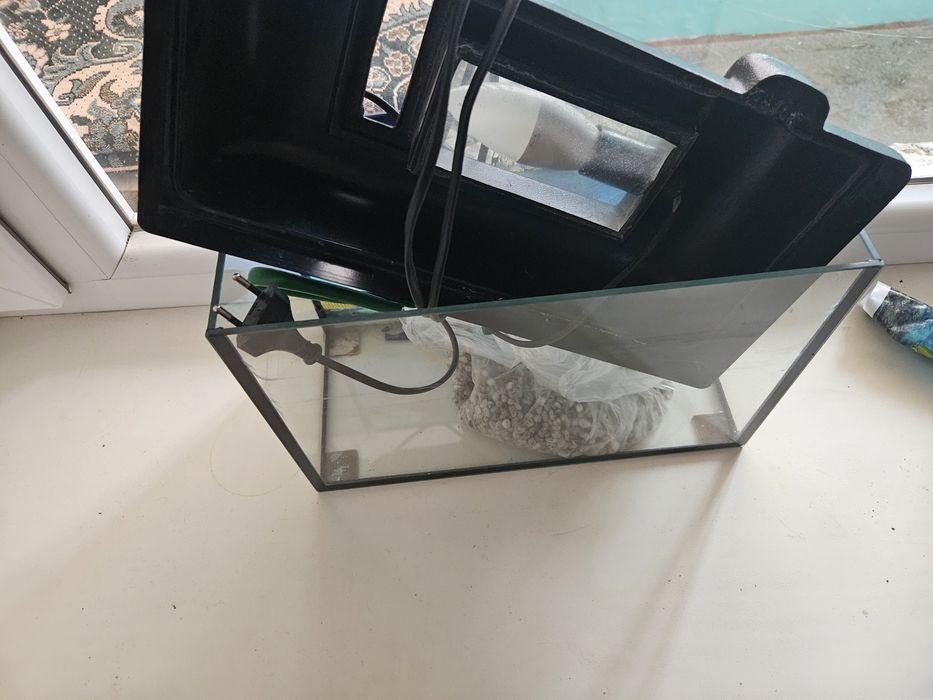 Аквариум аквариум