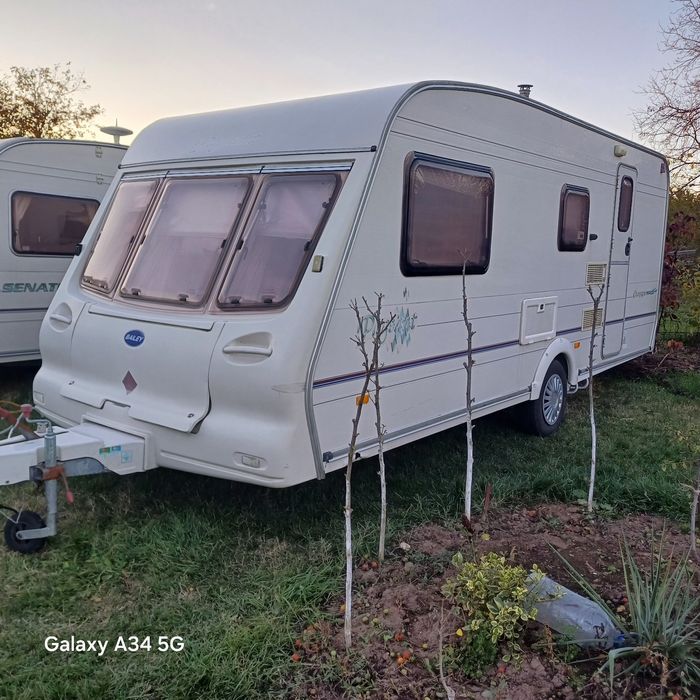 Rulota bailey 2002 pangeant neinmatriculata