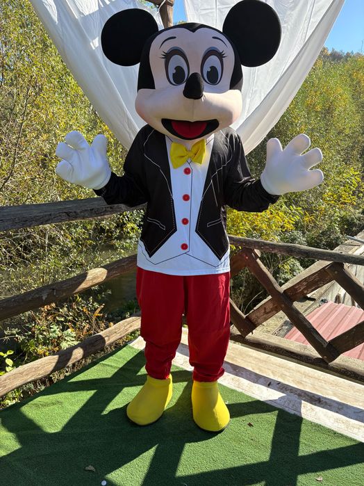 Маскоти под наем