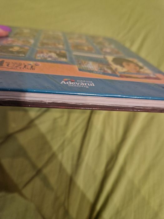 Marile muzee ale lumii Muzeul Ermitaj Sankt Petersburg carte sigilata