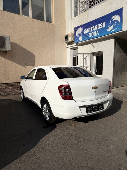 2025 Cobalt style MCM