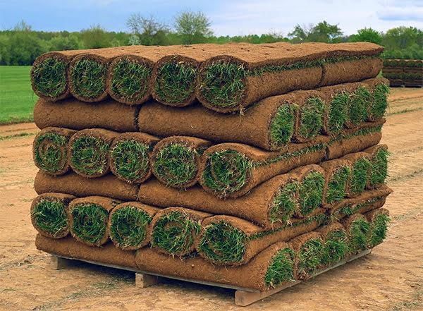 Gazon rulou sisteme de irigare