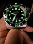 Helson Shark Diver