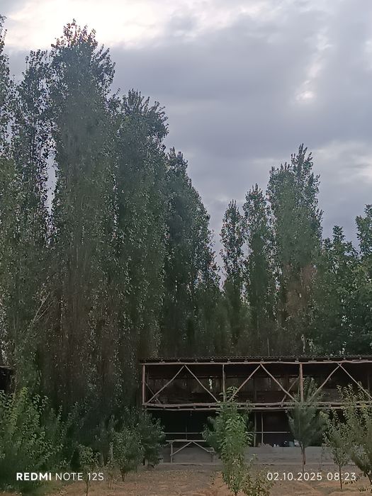Терак сотилади...