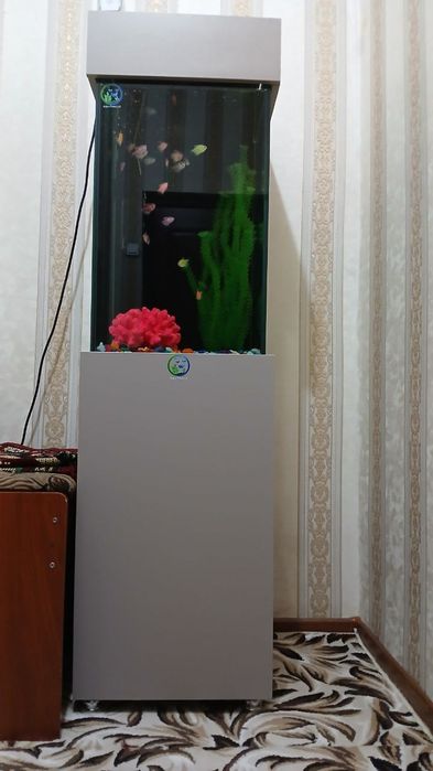 Akuarim sotiladi ichidigilari bilan