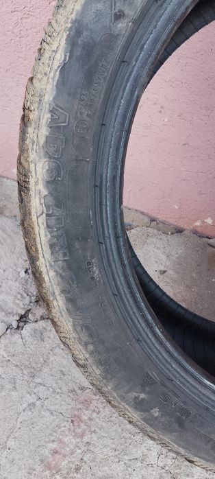 2anvelope iarna taurus