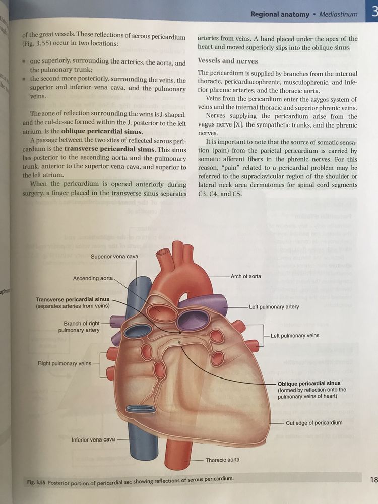 Gray’s anatomy third edition