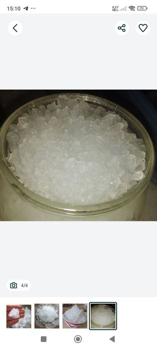 Индийский морской рис