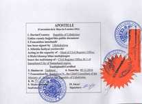Апостиль диплома, метрики, аттестата и других документов