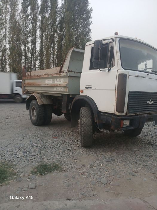 Maz sotiladi samasval