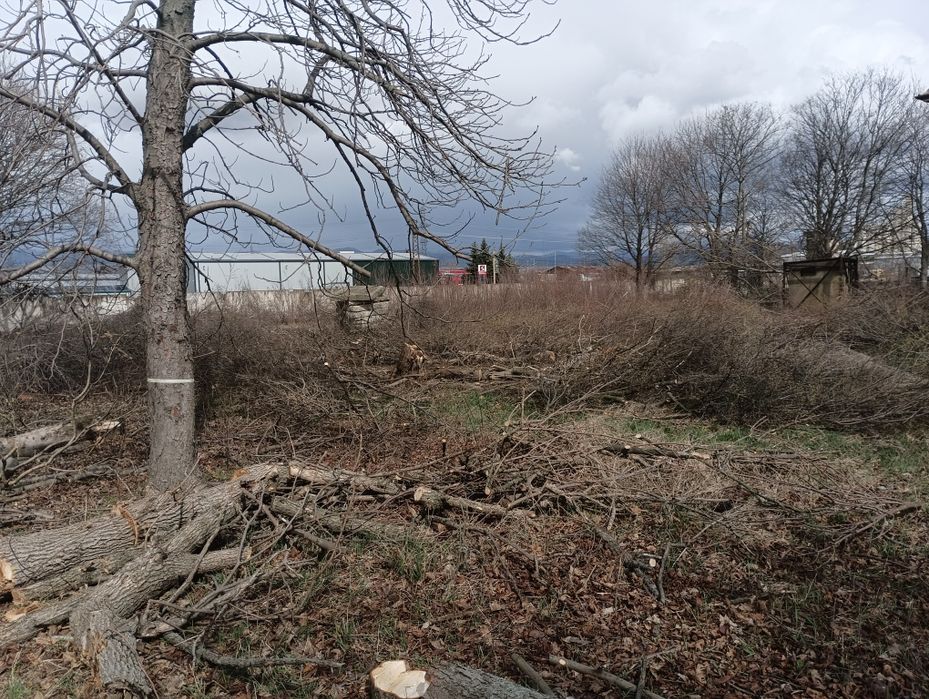 Почистване на запустели парцели и имоти