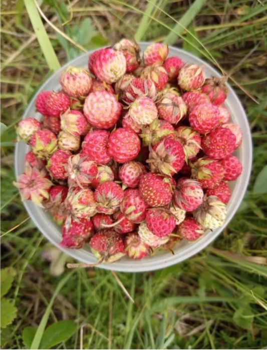 Продам варенье земляничное