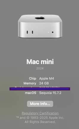 Mac Mini m4 24 gb 256 gb
