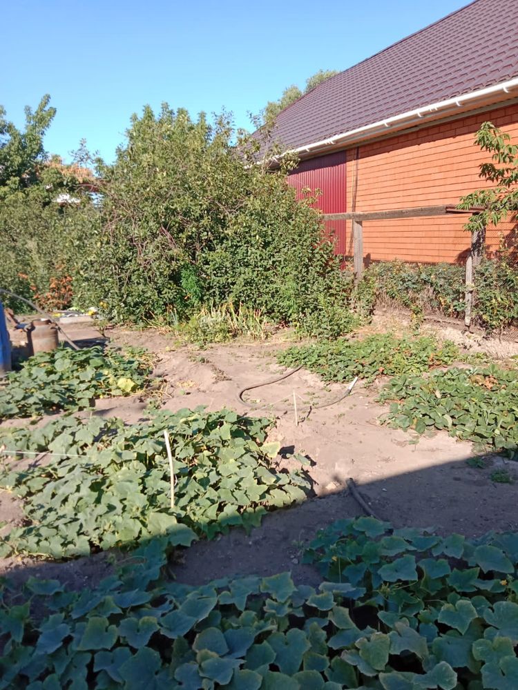 Продам два дома