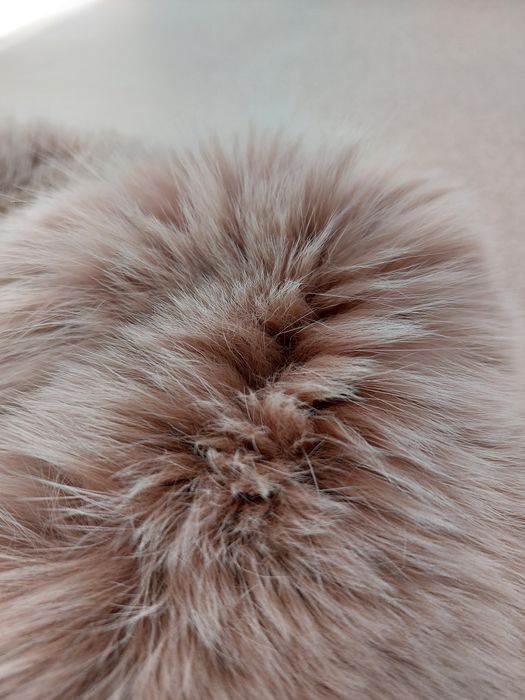 Guler Blana Naturala de Vulpe