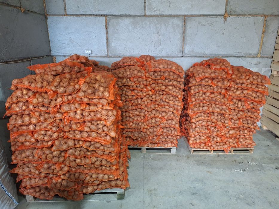 Cartofi Consum Proaspeți și Gustoși