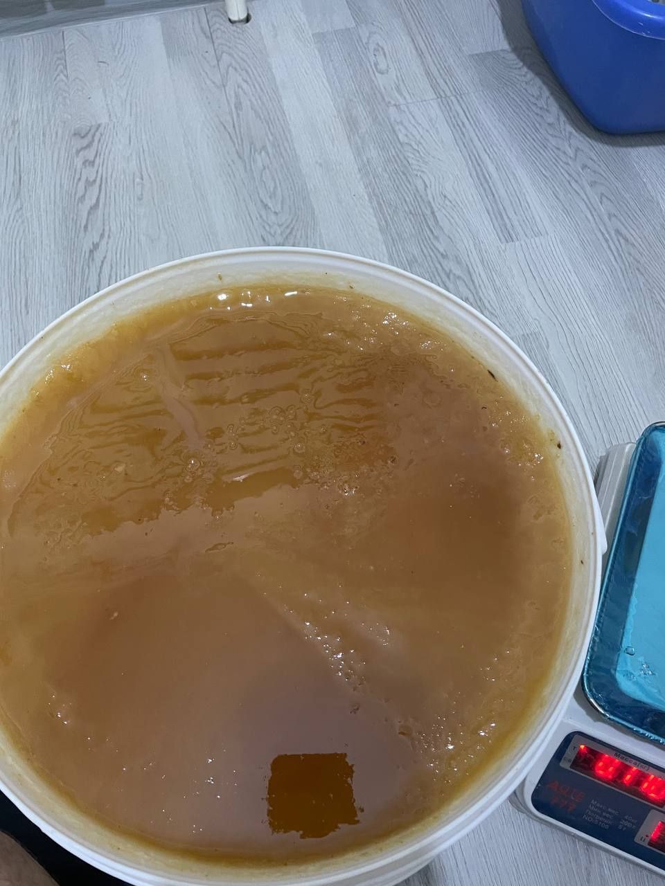 Tabiy toza asal optom narxlarda