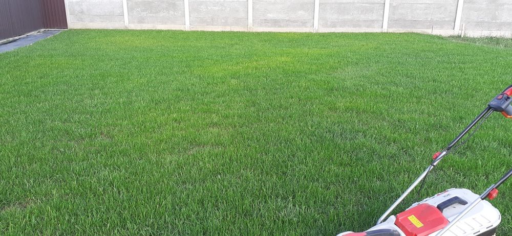 Amenajare curți exterioare cu gazon și piatră