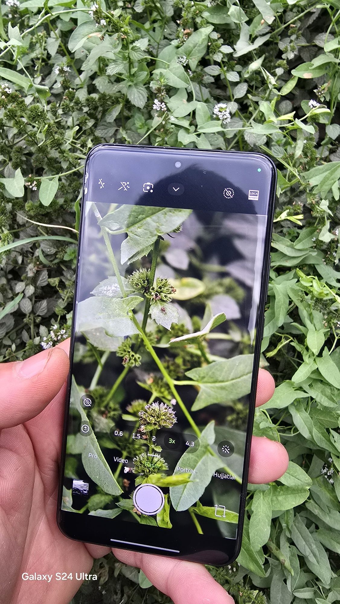 Xiaomi 15 ultra global