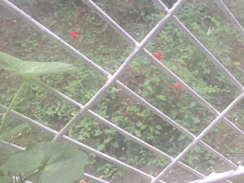 AP.2 camere,Brancoveanu P/4,Particular