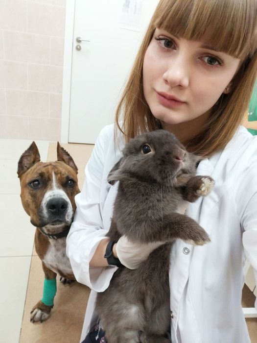 Домашняя передержка собак с выгулом + (экзоты, попугаи, грызуны)