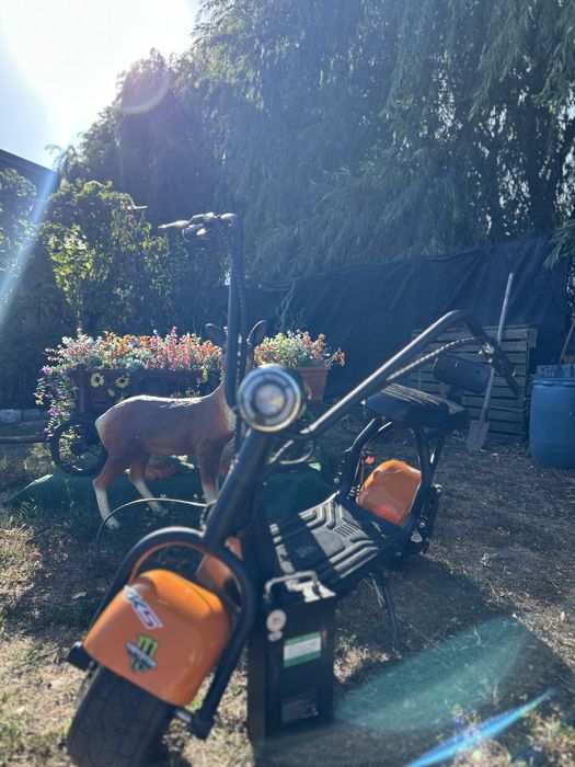 Scuter mini harley / 40km / h
