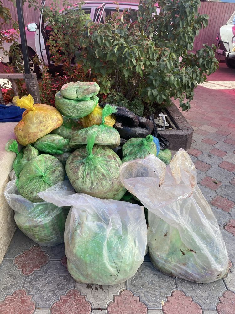 отходы бар итке для собак