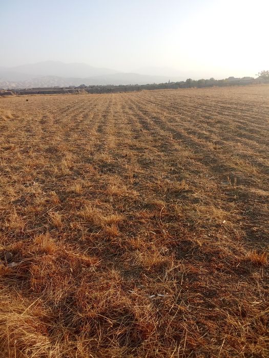 Yer sotiladi 60 sotix.