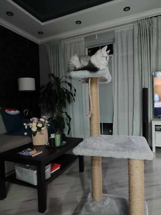 Продам домик с когтиточками для кошки