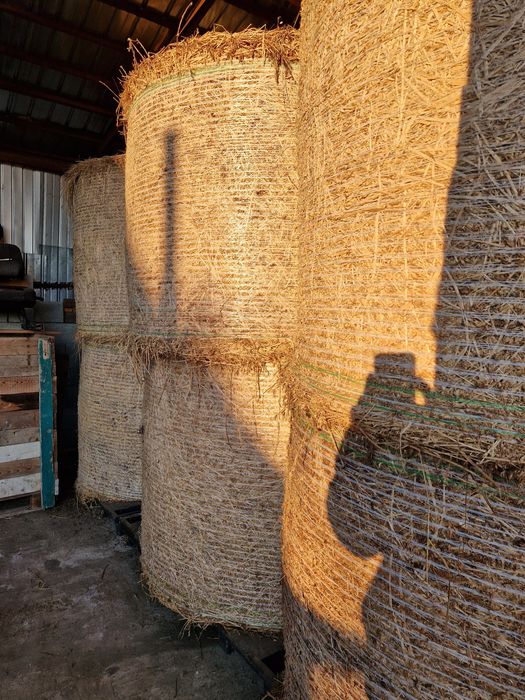 Baloti rotunzi de lucerna