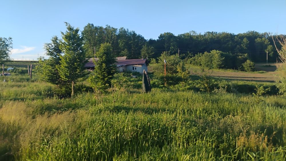 vand   microferma cu iaz si 7 hectare  teren arabil.