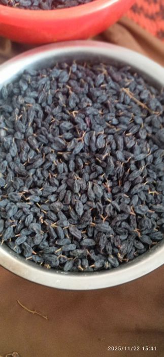 Soyakki Magiz qon koʻpaytirish uchun kuch beradi tabiy dastafka