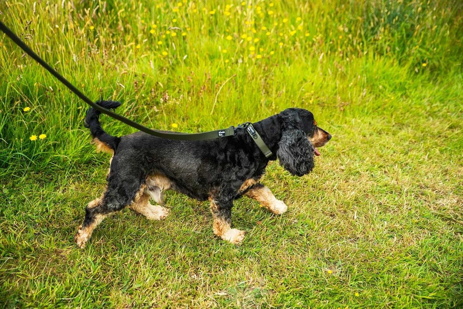 Изключително здрав повод за кучета Mountain Paws, 1,15 метра, червен